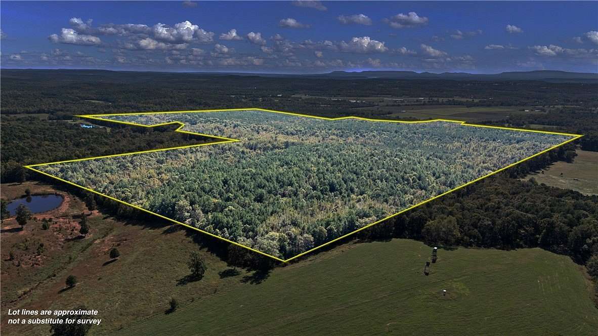 295 Acres of Recreational Land for Sale in Clarksville, Arkansas
