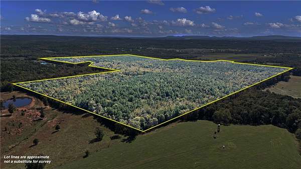 295 Acres of Recreational Land for Sale in Clarksville, Arkansas