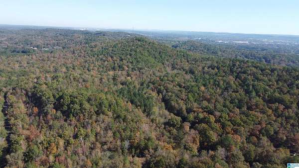 39.8 Acres of Recreational & Residential Land for Sale in Hueytown, Alabama