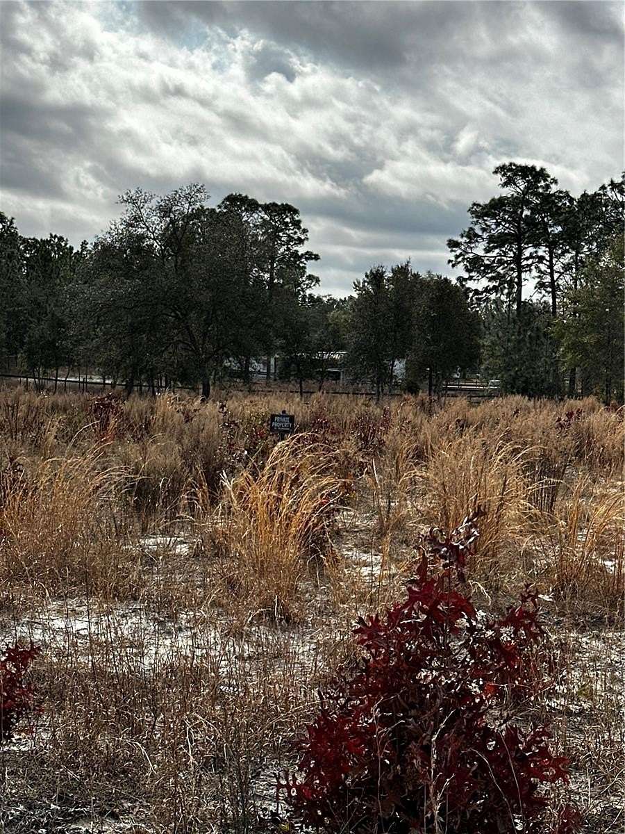 2.3 Acres of Residential Land for Sale in Dunnellon, Florida