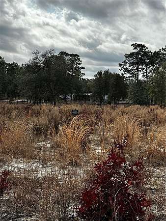 2.3 Acres of Residential Land for Sale in Dunnellon, Florida
