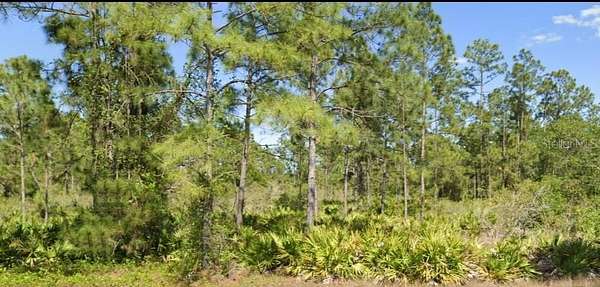 0.5 Acres of Residential Land for Sale in Lehigh Acres, Florida