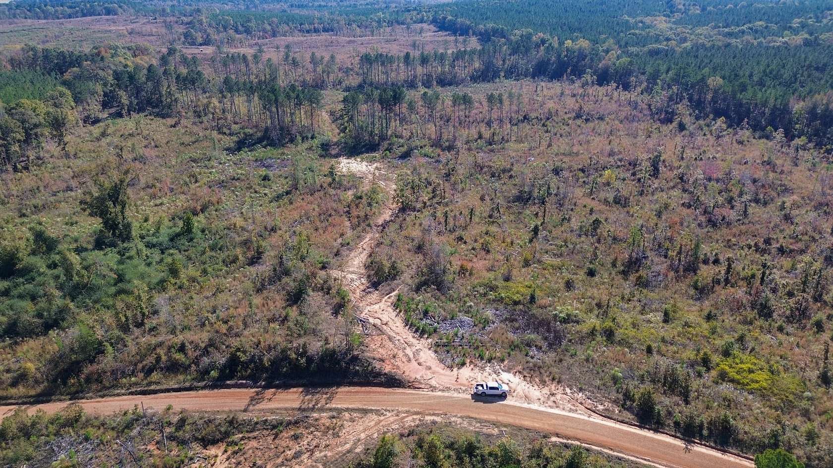 63 Acres of Recreational Land for Sale in Eupora, Mississippi