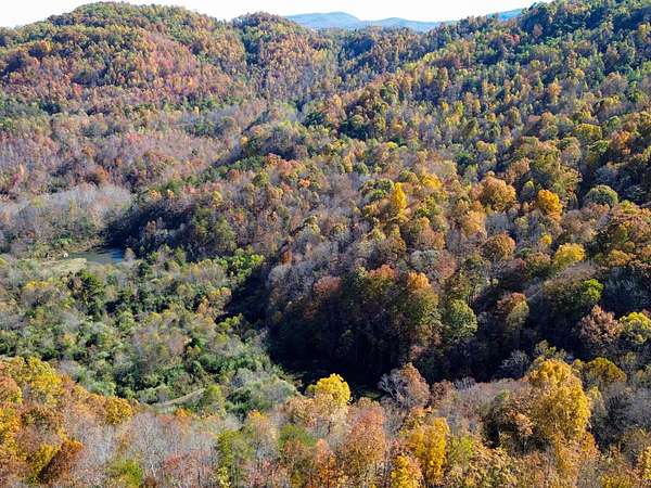155 Acres of Recreational Land for Sale in Duff, Tennessee