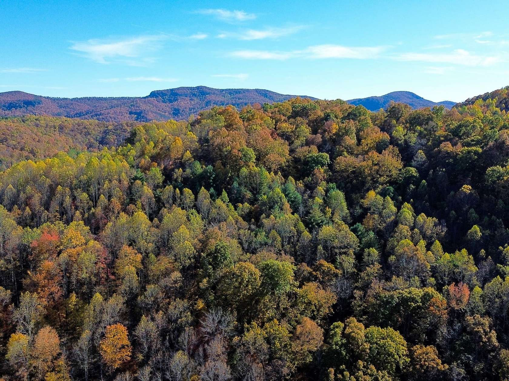 14 Acres of Recreational Land for Sale in Duff, Tennessee