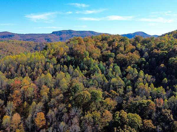 14 Acres of Recreational Land for Sale in Duff, Tennessee