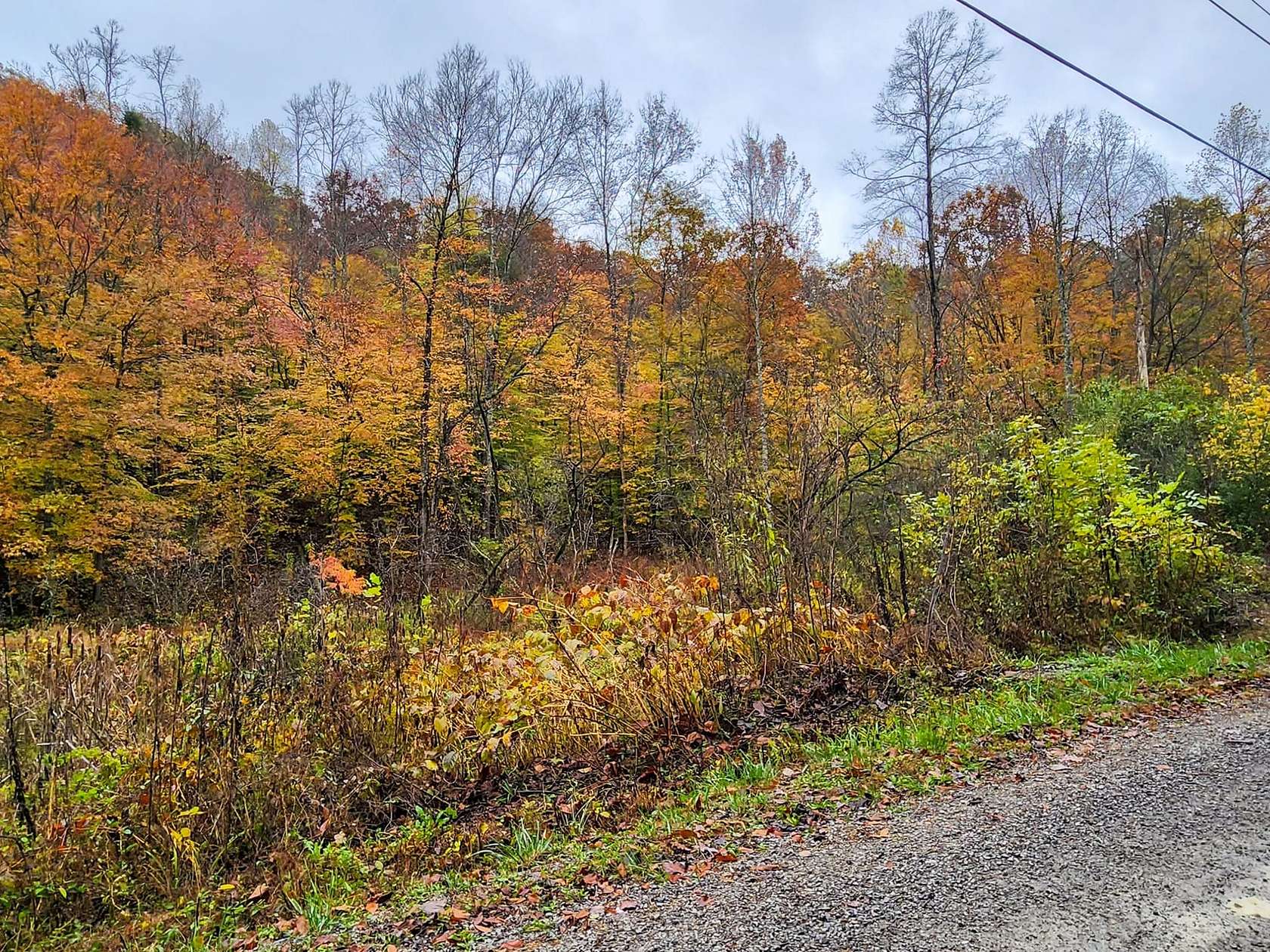 19 Acres of Recreational Land for Sale in Duff, Tennessee