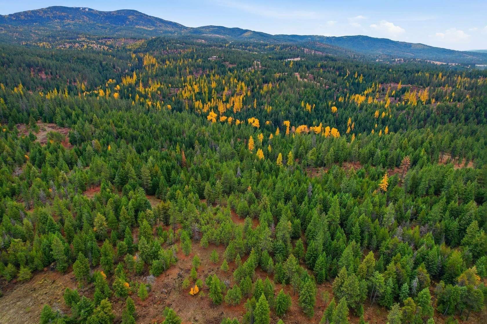 19.8 Acres of Recreational Land for Sale in Spokane, Washington