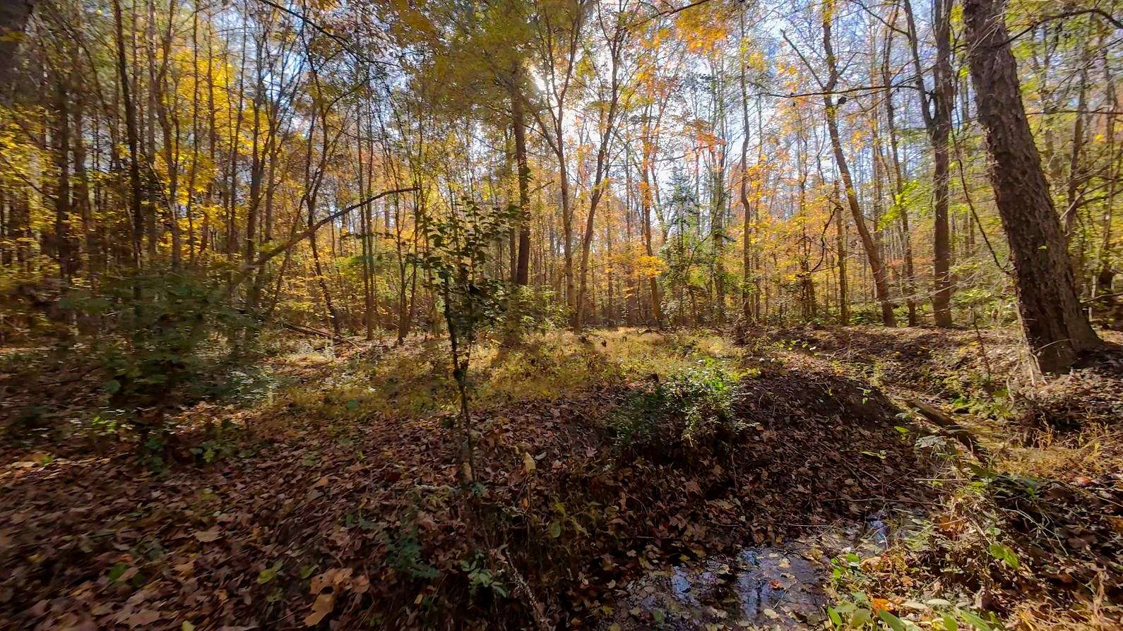 52.3 Acres of Recreational Land for Sale in Littleton, North Carolina
