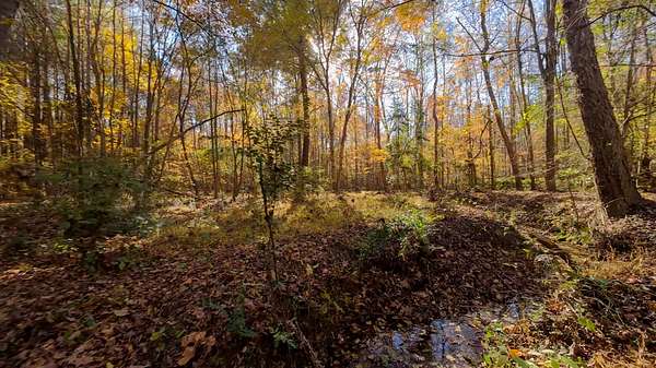 52.3 Acres of Recreational Land for Sale in Littleton, North Carolina