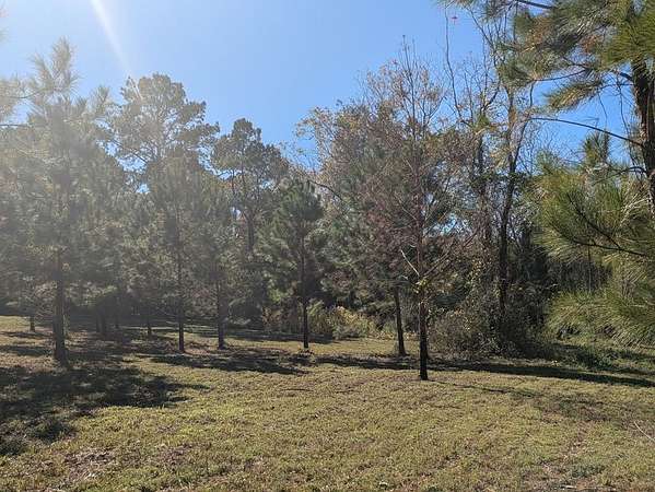 12 Acres of Land for Sale in Cairo, Georgia