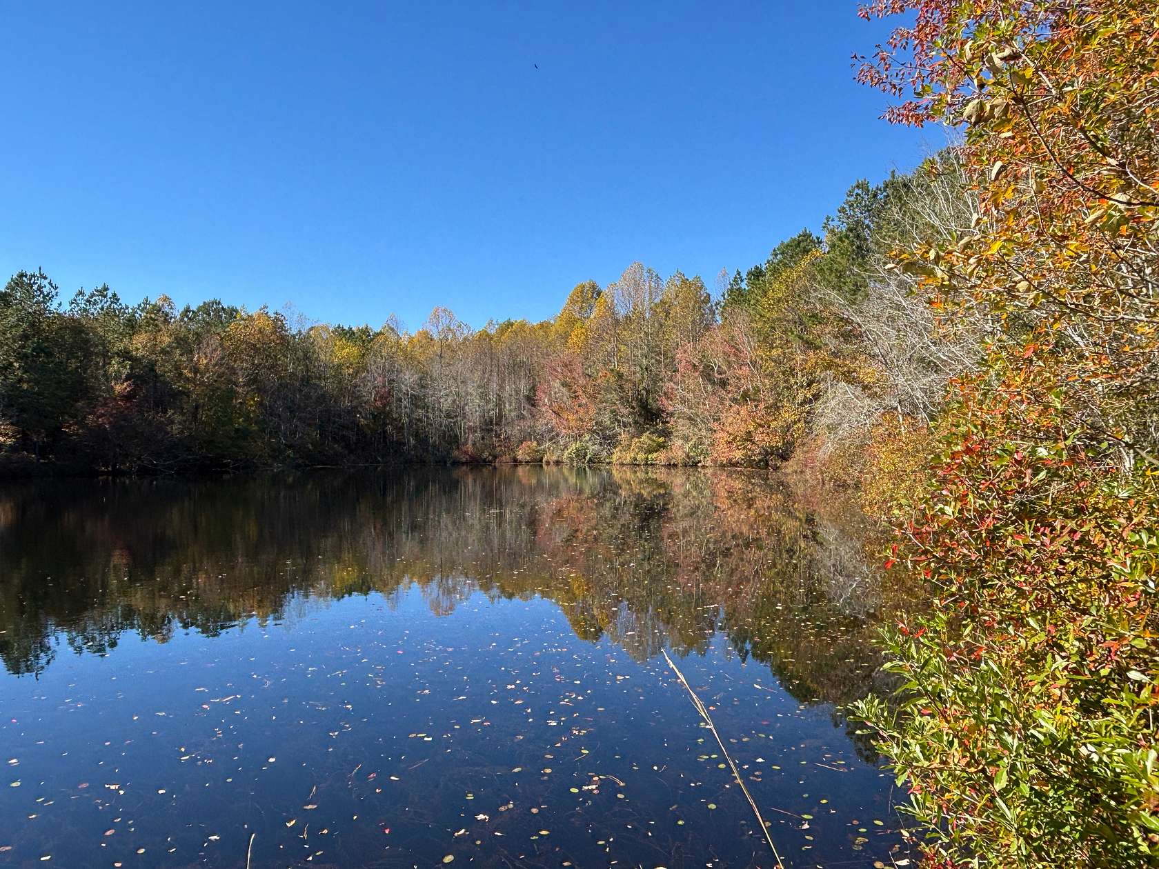 53.1 Acres of Recreational Land for Sale in Mineral Springs Township, North Carolina