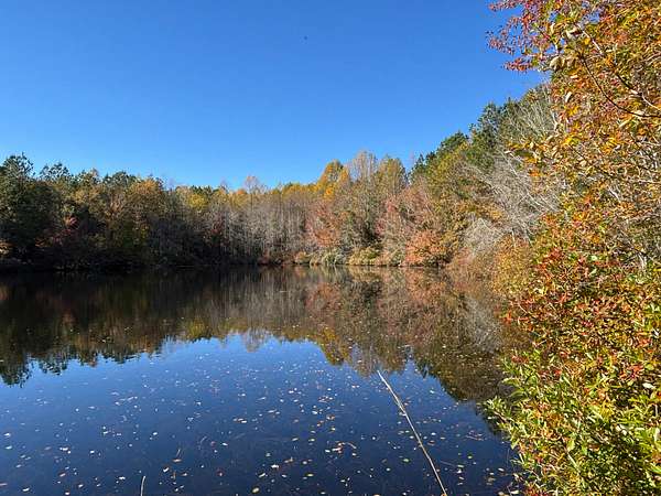 53.1 Acres of Recreational Land for Sale in Mineral Springs Township, North Carolina