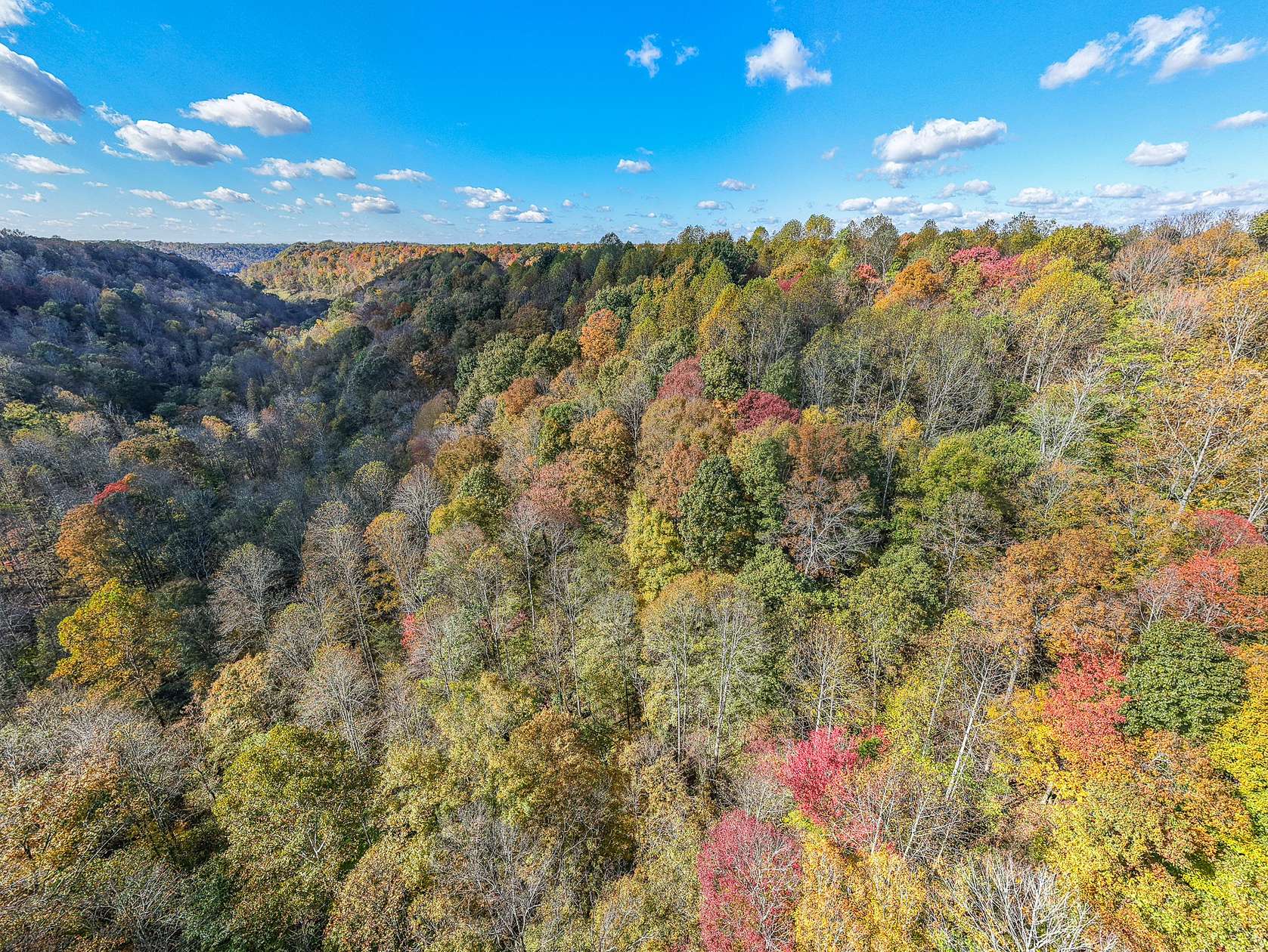 30 Acres of Recreational Land & Farm for Sale in Lafayette, Tennessee