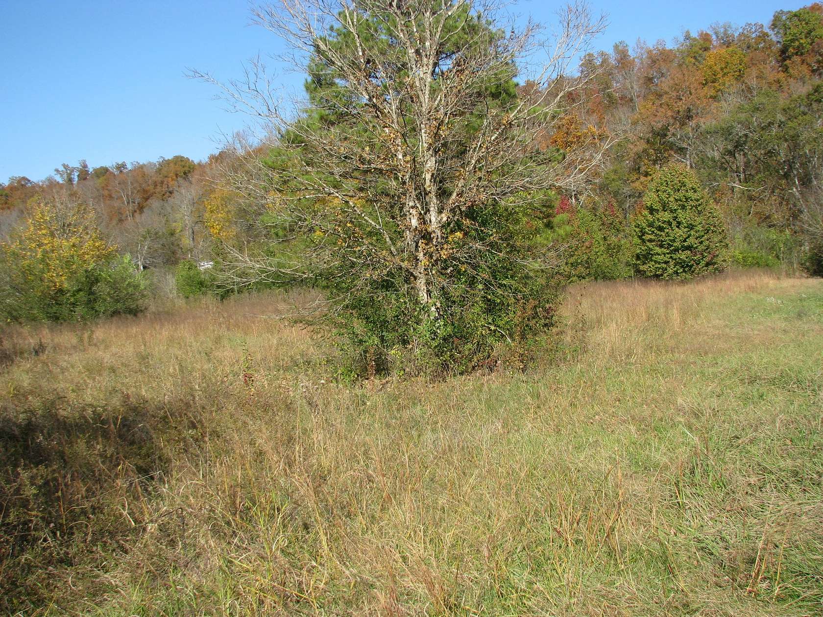 2.39 Acres of Land for Sale in Waverly, Tennessee