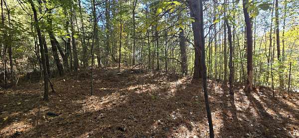 0.37 Acres of Residential Land for Sale in LaFayette, Georgia