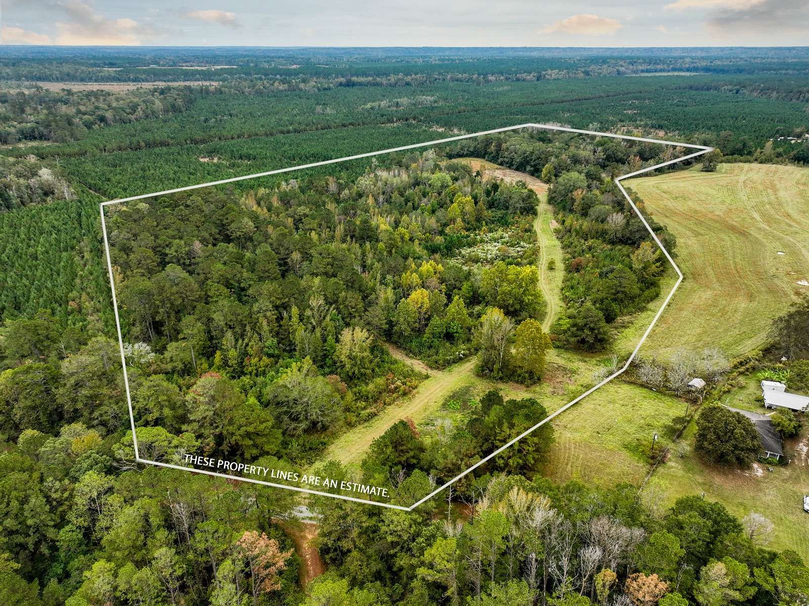 45 Acres of Recreational Land for Sale in Georgiana, Alabama