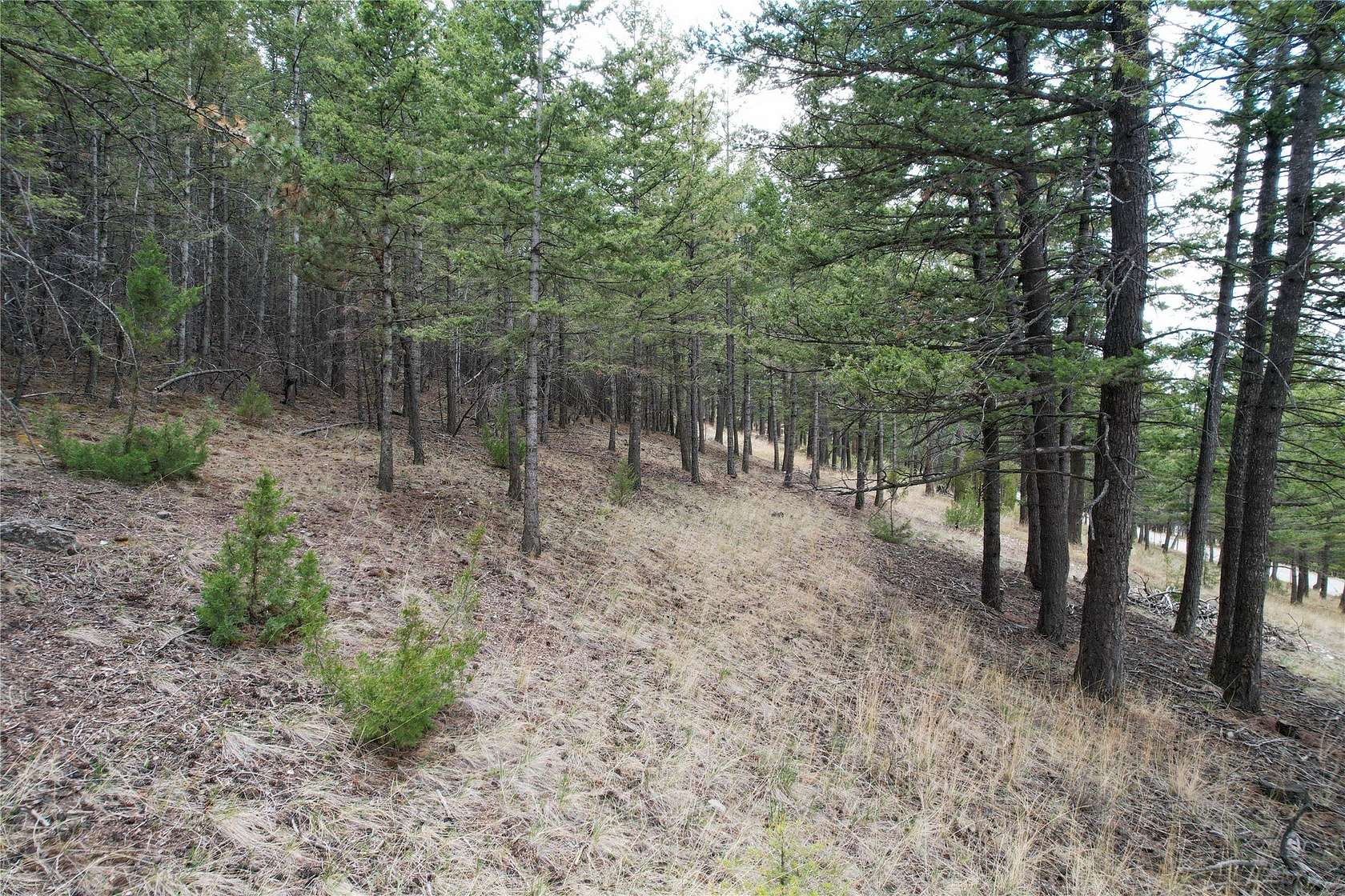 5.1 Acres of Land for Sale in Clancy, Montana