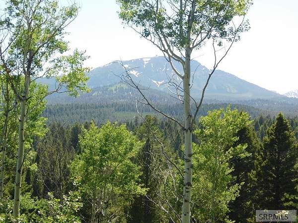 3.64 Acres of Residential Land for Sale in Island Park, Idaho