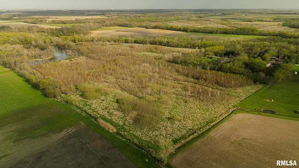 63 Acres of Recreational Land & Farm for Sale in Edinburg, Illinois