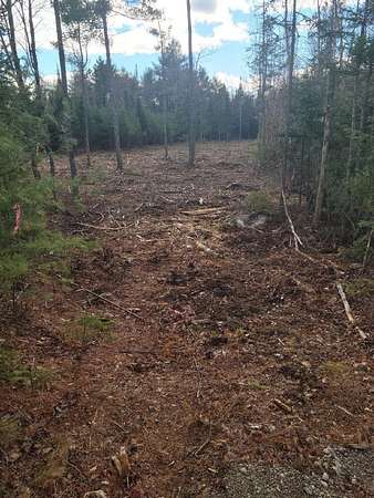 2 Acres of Residential Land for Sale in Orrington, Maine