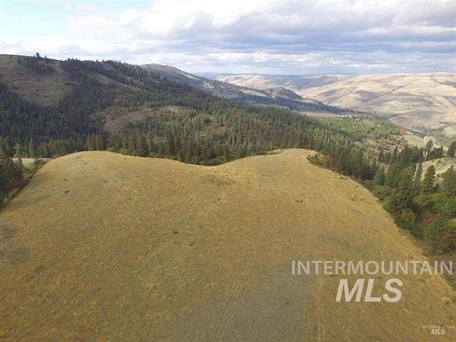20.3 Acres of Recreational Land for Sale in Lenore, Idaho