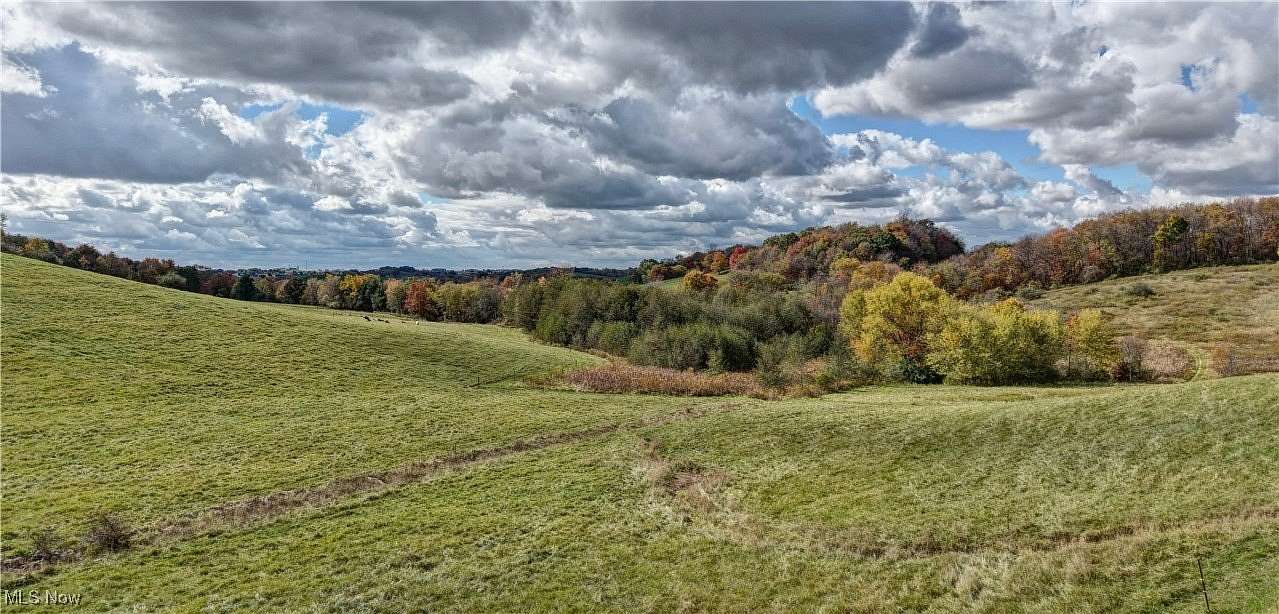 8.7 Acres of Land for Auction in Dundee, Ohio