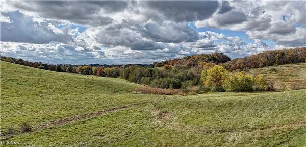 8.7 Acres of Land for Auction in Dundee, Ohio