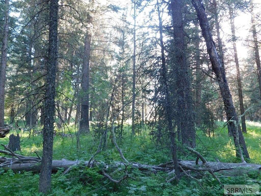 3.53 Acres of Residential Land for Sale in Island Park, Idaho