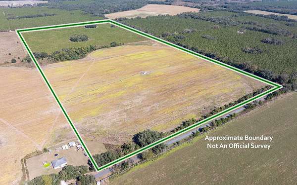 80 Acres of Agricultural Land for Sale in Live Oak, Florida