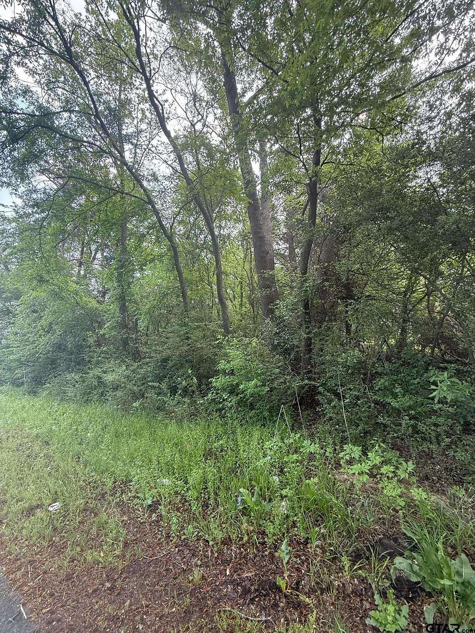 Residential Land for Sale in Tyler, Texas