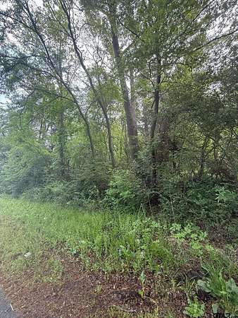 Residential Land for Sale in Tyler, Texas