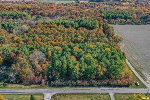 32 Acres of Recreational Land for Sale in Salem, Illinois