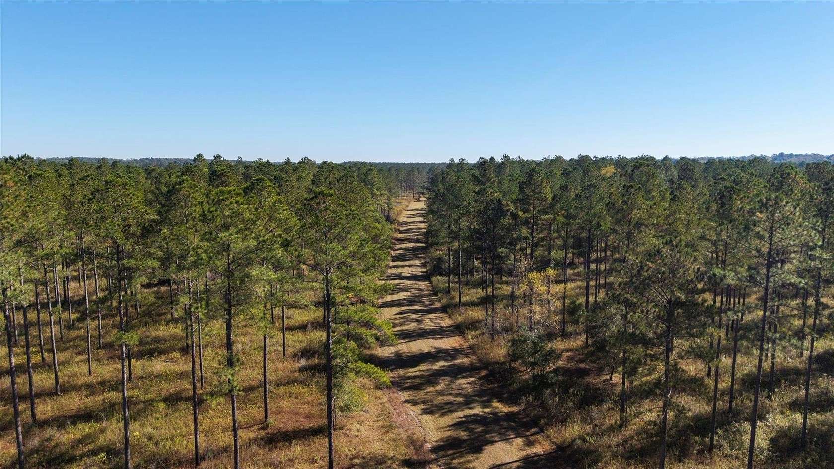 295 Acres of Agricultural Land for Sale in Tallahassee, Florida