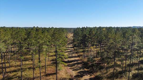 295 Acres of Agricultural Land for Sale in Tallahassee, Florida