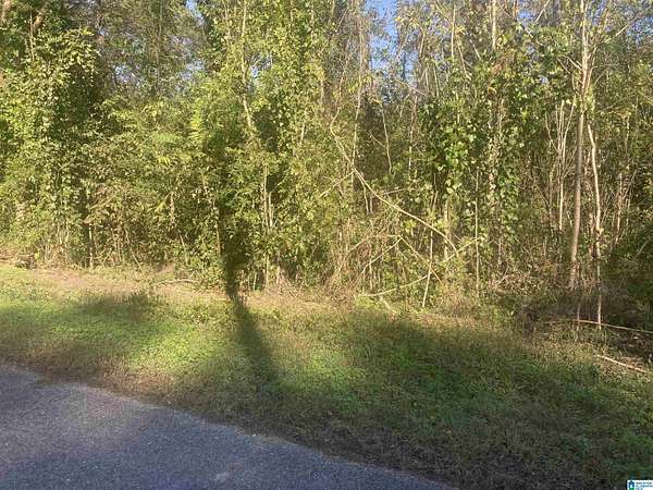 0.71 Acres of Residential Land for Sale in Bessemer, Alabama