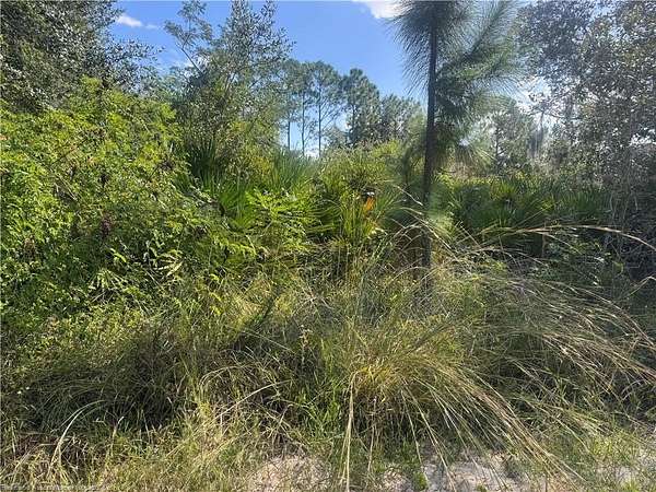 0.23 Acres of Residential Land for Sale in Sebring, Florida