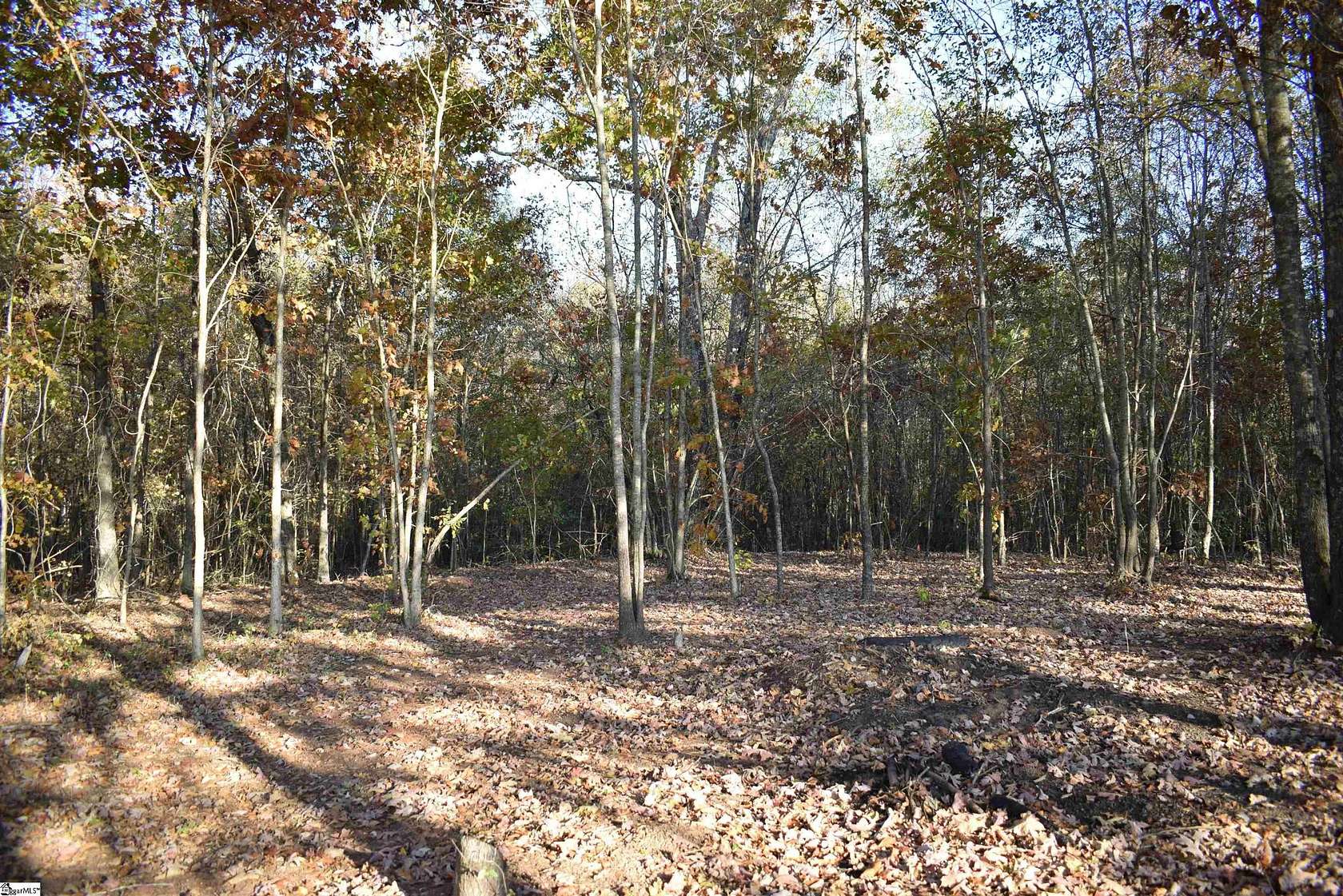 8.72 Acres of Residential Land for Sale in Taylors, South Carolina