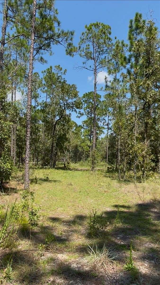 5 Acres of Residential Land for Sale in Dunnellon, Florida