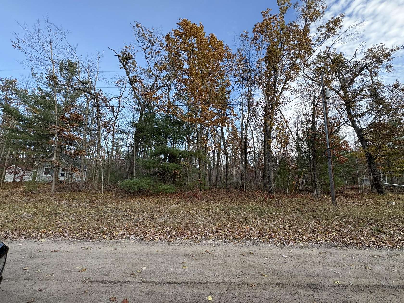 Land for Sale in Hillman, Michigan