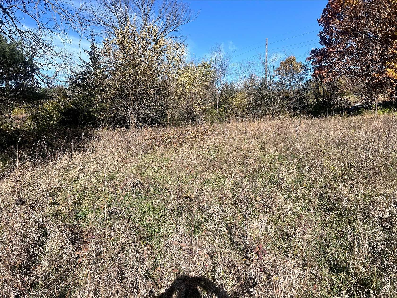 20 Acres of Land for Sale in Indianola, Iowa