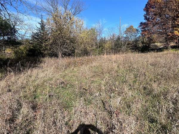 20 Acres of Land for Sale in Indianola, Iowa