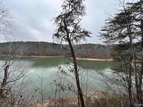 1.6 Acres of Residential Land for Sale in Jasper, Alabama