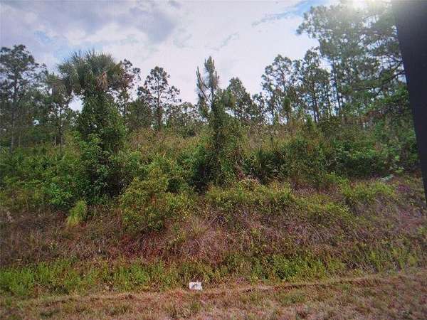 Residential Land for Sale in Lehigh Acres, Florida