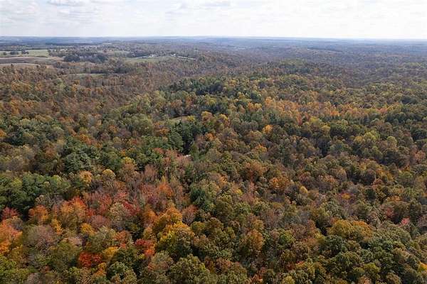 227 Acres of Land for Sale in Fordsville, Kentucky