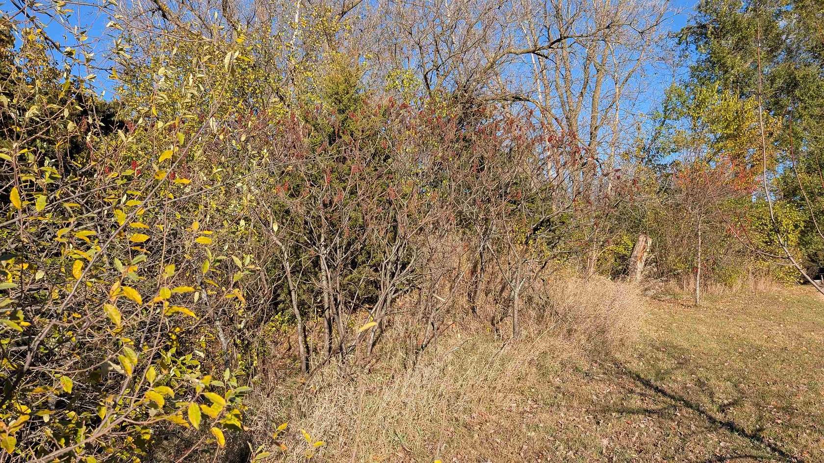 0.47 Acres of Residential Land for Sale in Markesan, Wisconsin