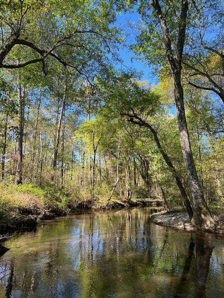 617 Acres of Recreational Land for Sale in Coolidge, Georgia