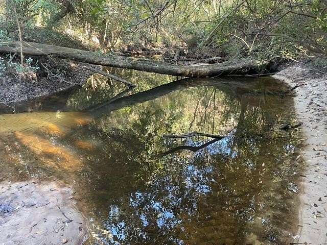 42.6 Acres of Recreational Land for Sale in Poplarville, Mississippi