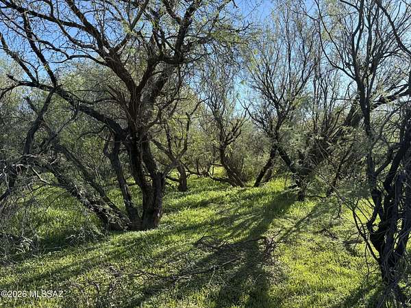 43.4 Acres of Land for Sale in Tucson, Arizona