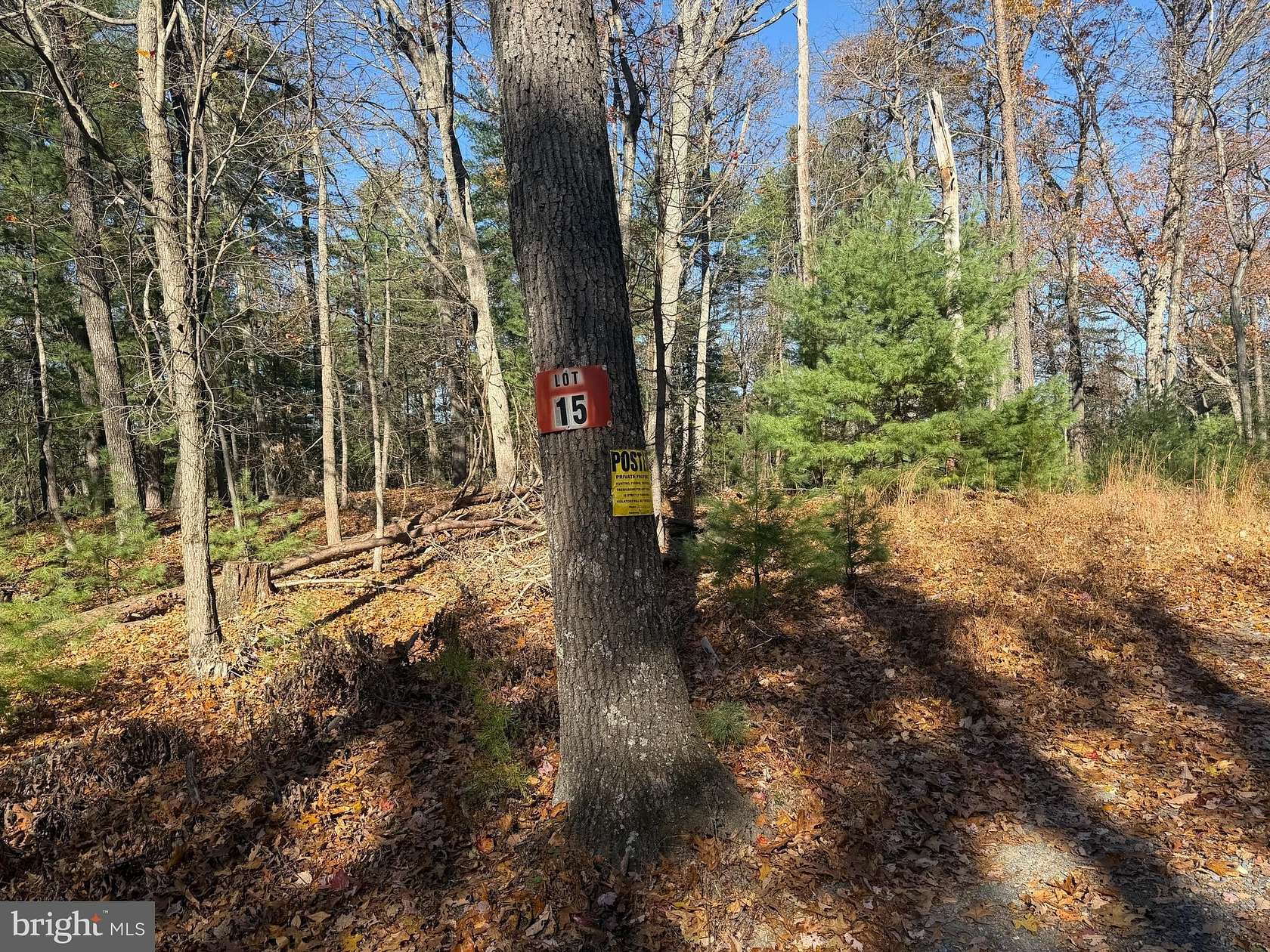 5 Acres of Residential Land for Sale in Capon Bridge, West Virginia